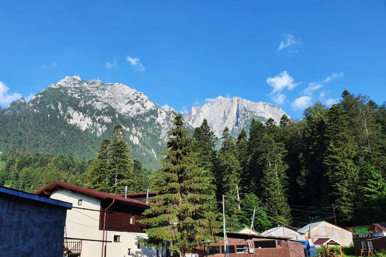 Apartament Eric, Buşteni Zewnętrze zdjęcie
