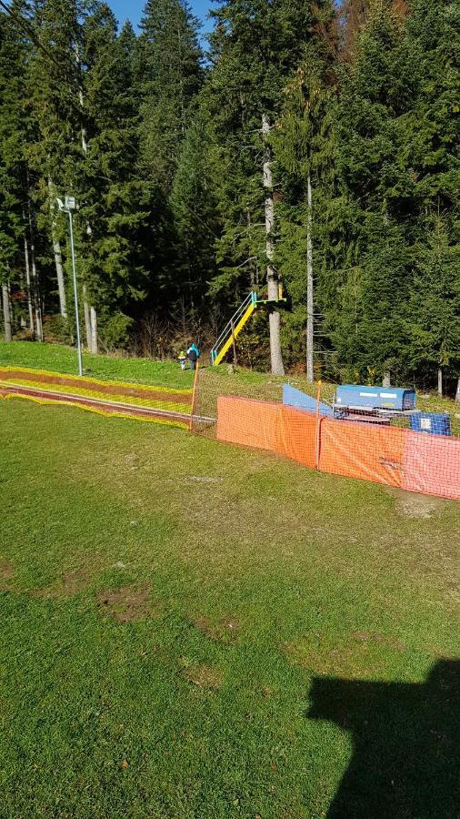 Apartament Eric, Buşteni Zewnętrze zdjęcie