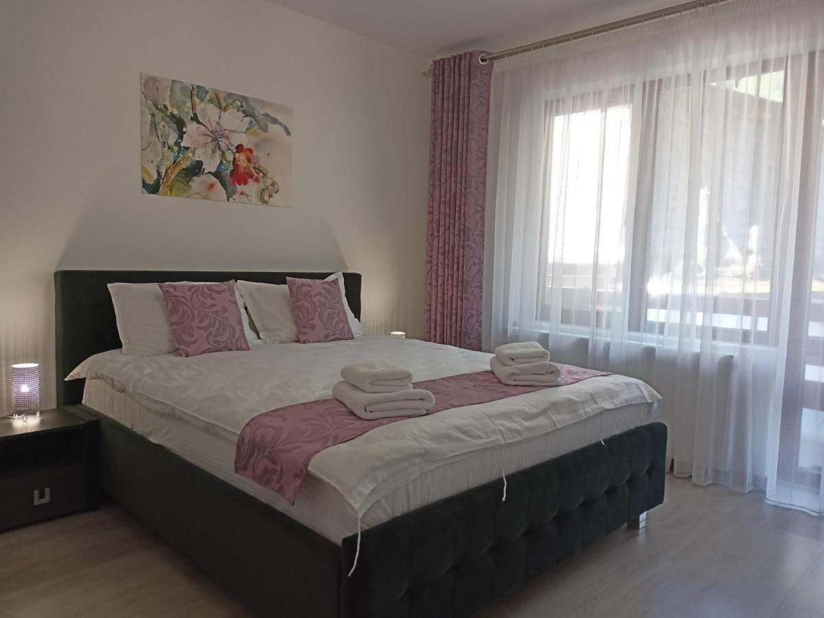 Apartament Eric, Buşteni Zewnętrze zdjęcie